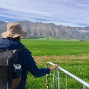 7 Day Riebeek Valley Wine Route (12-19 Oct 2026)
