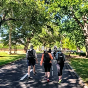 Route 10: Peninsula 1 Day