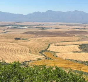 Route 1: Riebeek Valley